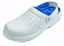 Obrázek RAVEN WHITE slipper SB bílá
